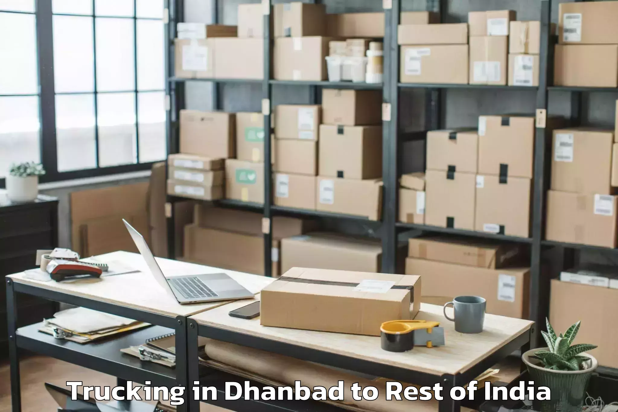 Book Dhanbad to Sher E Kashmir University Of A Trucking Online